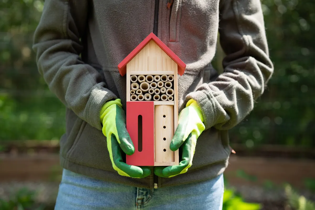 How to Create a Badger-Friendly Garden: A Step-by-Step Guide